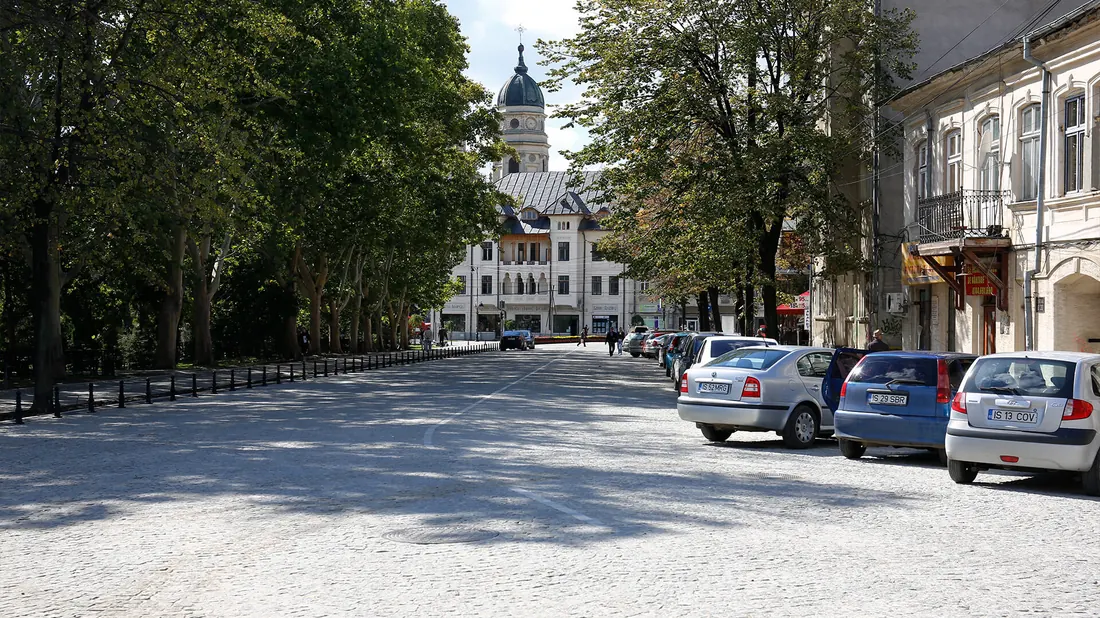 Axa Culturală, Iași